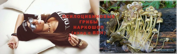 apvp Абаза