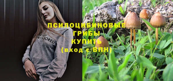 apvp Абаза