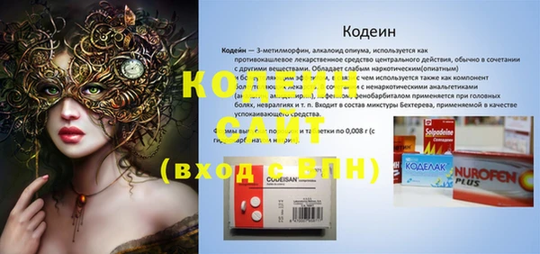 ECSTASY Алзамай
