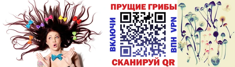 Псилоцибиновые грибы прущие грибы  Бирюсинск 
